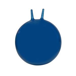 توپ تناسب اندام مدل horse2