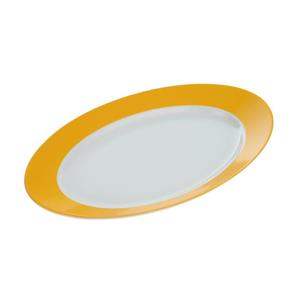 دیس چینی زرین ایران مدل C-38