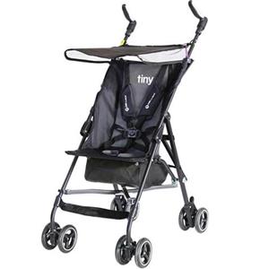 کالسکه دلیجان مدل تاینی