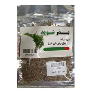 بذر شوید نهال جاویدان البرز مدل 04