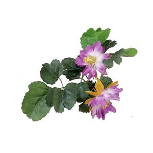 گیاه تزیینی آکواریوم مدل نیلوفر ابی