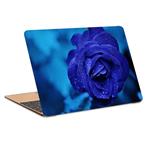 استیکر لپ تاپ طرح blue rose bud drops flower کد P-658مناسب برای لپ تاپ 15.6 اینچ