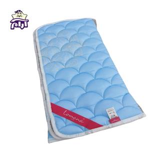 تشک مسافرتی لومانا کد 840