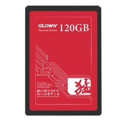 حافظه اس اس دی گلووی مدل Gloway Fer Series ظرفیت 120 گیگابایت