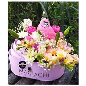 کادو برای نوزاد به دنیا آمده1255