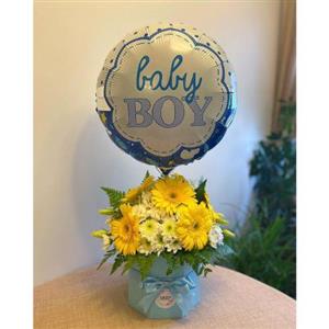 هدیه نوزاد تازه به دنیا آمده1228