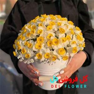 سبد گل نرگس کد 2084