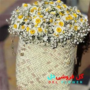 گل نرگس روز مادر 364