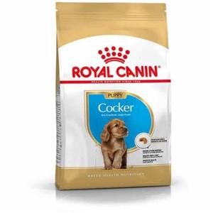کوکر پاپی رویال کنین سگ ۳ کیلوگرم ( cocker puppy royal canin )