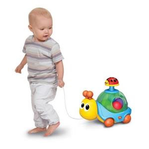 لاک پشت نخ کش موزیکال winfun مدل 000674