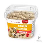 مکمل غذایی مولتی ویتامین گربه سانال حاوی کلسیم ۱۰۰گرمی