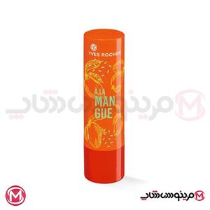 بالم لب رنگی تمشک ایوروشه   Yves Rocher Nourishing Lip Balm Raspberry Tinted