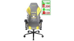 صندلی گیمینگ دی ایکس ریسر Craft D5000-GY 