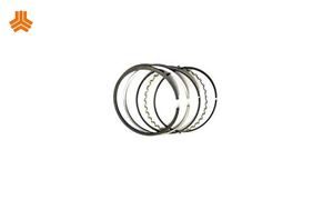 رینگ موتور استاندارد آریو Z300