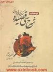 شرح سی قصیده ناصرخسرو / مهدی محقق/خردمندان