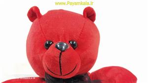 اسباب بازی عروسک پولیشی خرس تدی (1337) سایز کوچک 