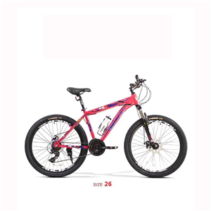 دوچرخه سایز 26 کوهستان راکی مدل R20-D