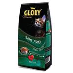 لوازم گربه فروشگاه اوجیلال ( EVCILAL ) Glory Premium Multicolor Colored Colour Adult Cat Food 15 کیلوگرم – کدمحصول 371964