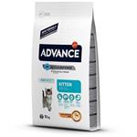 لوازم گربه فروشگاه اوجیلال ( EVCILAL ) Advance Cat Kitten مرغ و بچه گربه غذا 10 کیلوگرم – کدمحصول 367482