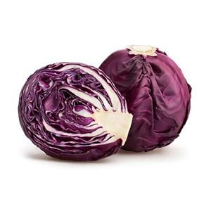 کلم قرمز تازه