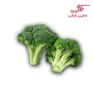 کلم بروکلی تازه Broccoli - 1