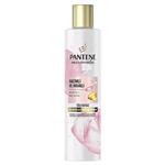 مراقبت و درمانی مو فروشگاه روسمن ( ROSSMANN ) شامپو Pantene Pro-V Miracles Lift Biotin Rose 275 میلی لیتر – کدمحصول 380797