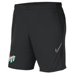 شلوار کوتاه مردانه فروشگاه اسپورتیو ( Sportive ) نایک Bursaspor Df Acdpr Short Kp Mens Black Black Shorts BV6924-061-BUR-DIG – کدمحصول 228560