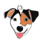 لوازم سگ فروشگاه اوجیلال ( EVCILAL ) تگ Dalis Pet – برچسب سگ جک راسل – کدمحصول 393304