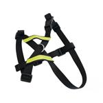 قلاده تنی و کمربند داخل خودرو ام پتس سایز S مدل Secura Safety Car Harness