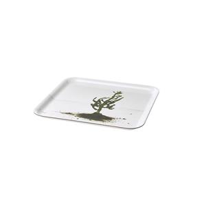 سینی ایکیا طرح کاکتوس مدل Stunsig Ikea Cactus Stunsig Tray