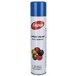Caspian Blue Paint Spray 295gr