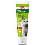 لوازم گربه فروشگاه اوجیلال ( EVCILAL ) Bio Pet Active VitaliCat Paste Taurine and Biotin Cat Award 100 ml – کدمحصول 386763