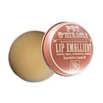 مراقبت از صورت فروشگاه روسمن ( ROSSMANN ) مرطوب کننده لب A Miracle Lip با کاکائو و روغن نارگیل 10 گرم – کدمحصول 361022