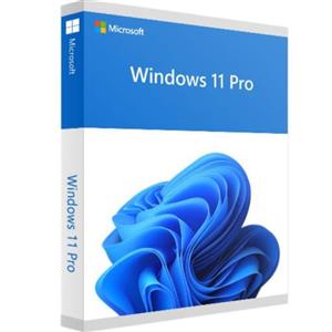 لایسنس اورجینال ویندوز 11 پرو ریتیل Windows Pro Retail 