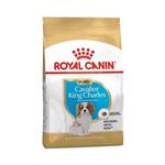 لوازم سگ برند زوو ( ZOO ) توله سگ Royal Canin Cavalier King Charles Puppy Food 1.5 کیلوگرم – کدمحصول 116821