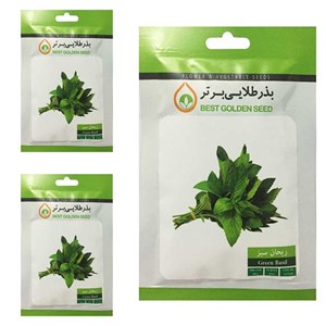 بذر ریحان سبز بذر طلایی برتر