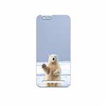 MAHOOT Polar-bear Cover Sticker for PinePhone Kde Community Edition