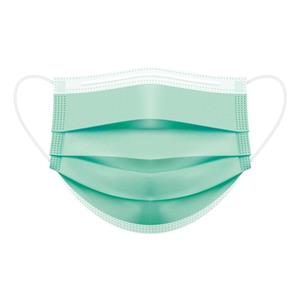 ماسک تنفسی باماسک مدل PKG 50021 بسته 50 عددی