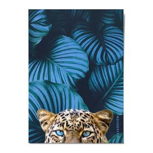 کارت پستال ماسا دیزاین طرح ببر مدل POSJO