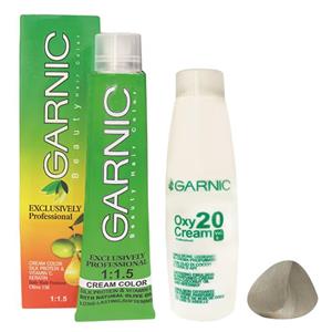 رنگ مو گارنیک شماره 91/2.1 حجم 120 میلی لیتر رنگ بلوند نقره ای روشن به همراه اکسیدان گارنیک مدل 20vol شش درصدی حجم 180 میلی لیتر