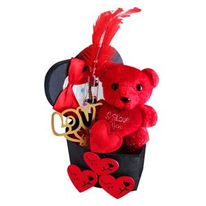 ست هدیه عروسک مدل خرس کد 01