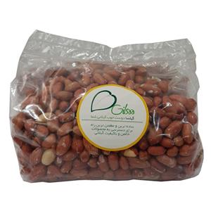 بادام زمینی آستانه - 1 کیلوگرم