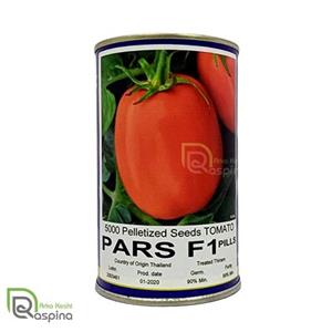 بذر گوجه فرنگی پارس مدل F1 کد B09