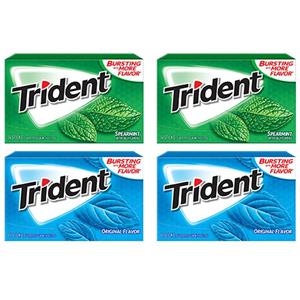 آدامس تریدنت نعنا تند Original Tflavor rident 14 عدد