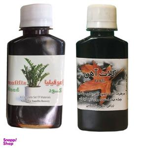 کود مایع زاموفیلیا و کلات آهن کد 02 حجم 120 میلی لیتر بسته 2 عددی