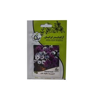بذر گل استئوسپرموم پاکوتاه الوان آرکا بذر ایرانیان کد A77