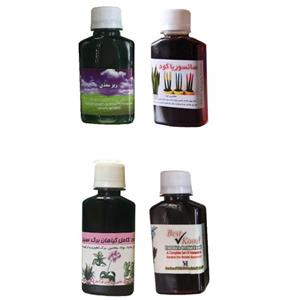 کود مایع سانسوریا و ارکیده و گیاهان برگ سبز و ریز مغذی کد01 حجم 120 میلی لیتر بسته 4عددی