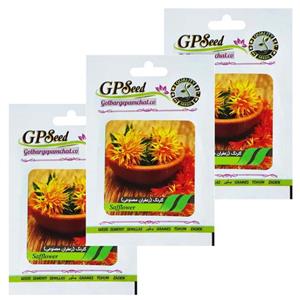 بذر گلرنگ گلبرگ پامچال کد GPF-288 مجموعه 3 عددی