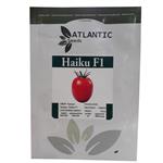 بذر گوجه فرنگی هیبرید آتلانتیک سیدز مدل HAIKU F1