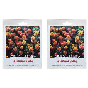 بذر گل جعفری مینیاتوری گرین فارم کد GR 127 بسته 2 عددی